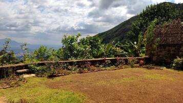 Paisaje rural con un muro de piedra, una construcción con techo de paja y diversa vegetación.