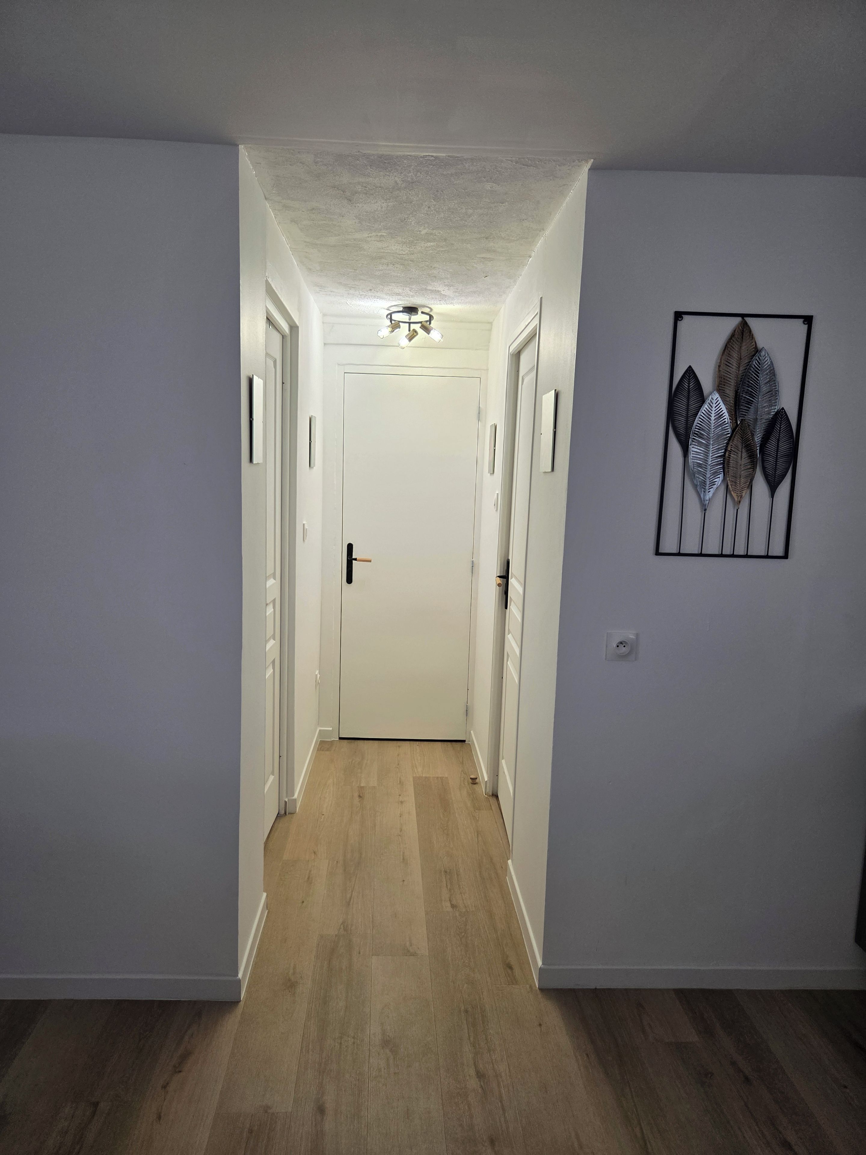 Un couloir avec une porte blanche au fond, un luminaire au plafond et une œuvre d’art accrochée au mur.