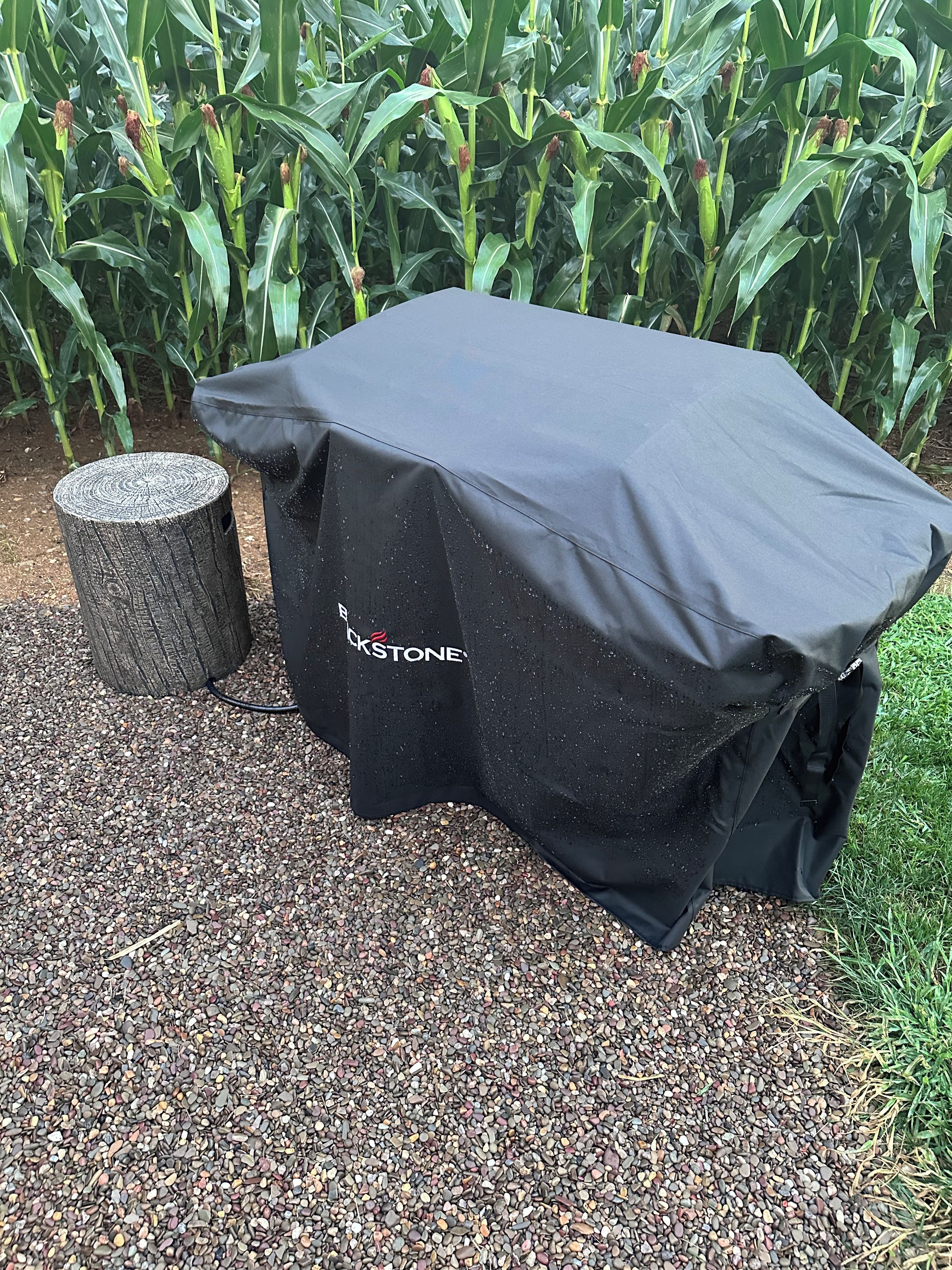 A table covered with a black cloth, a wooden stump, and a cornfield in the background.