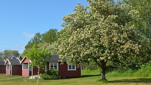 A red building with a white door, a large tree with white flowers, and a clear blue sky. - Grönhögens Stugby (Degerhamn)