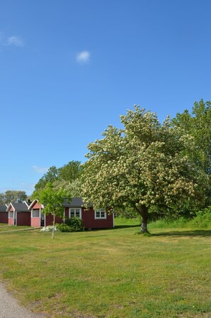 A red building with a white door, a large tree with white flowers, and a clear blue sky. - Grönhögens Stugby (Degerhamn)