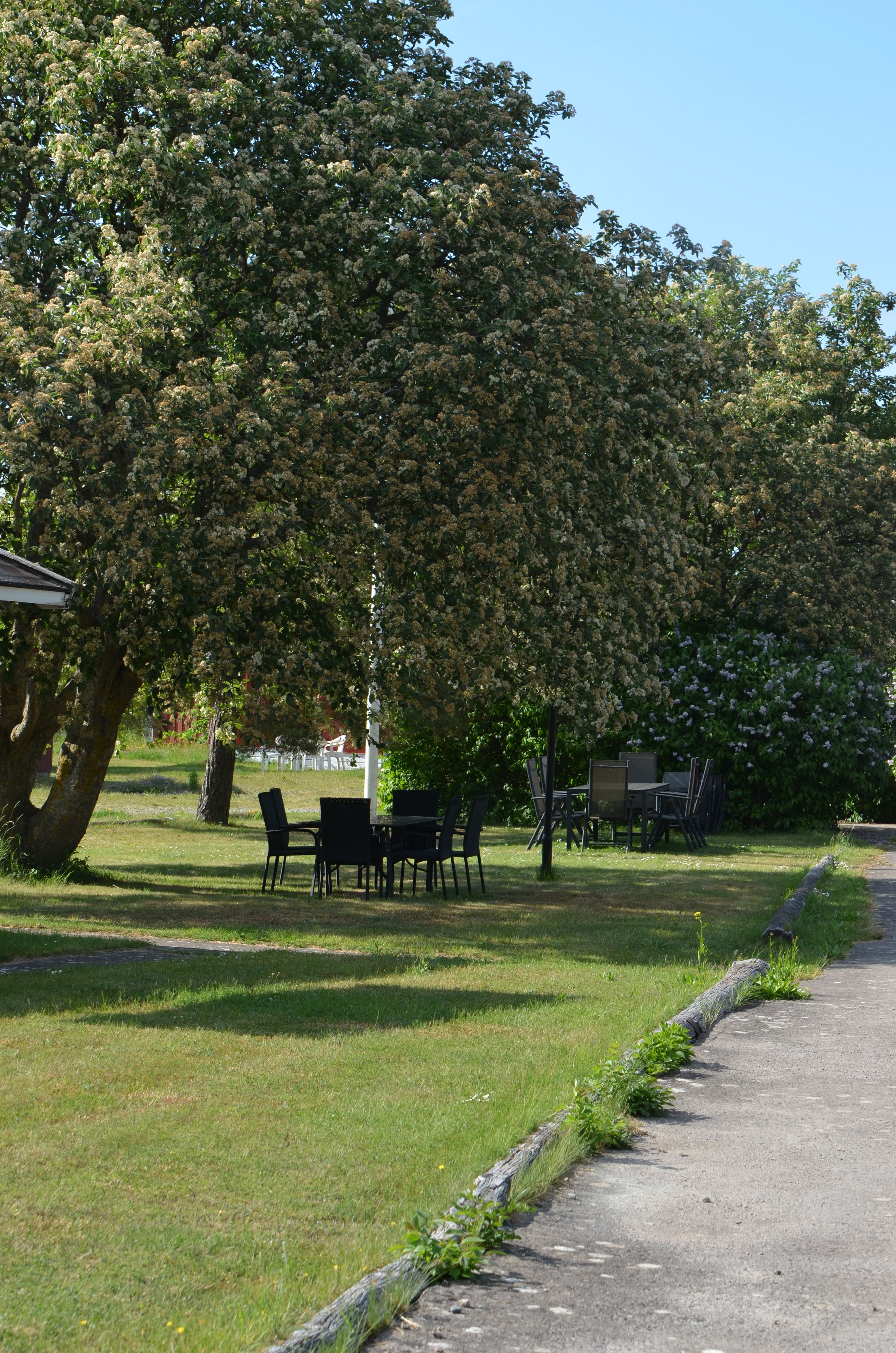 Un parque con una mesa y sillas de picnic, rodeado de árboles y césped.