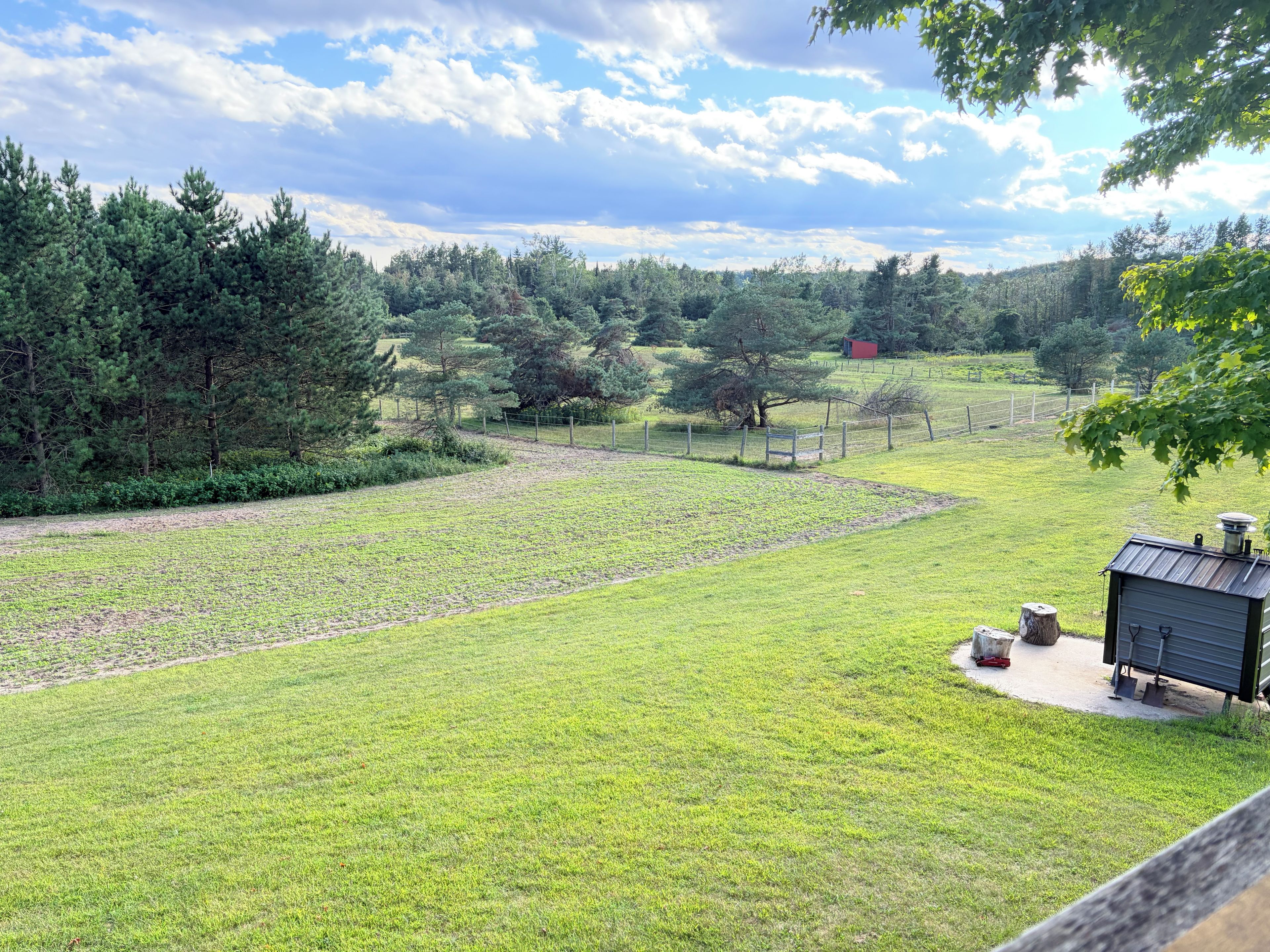 A grassy field with a wooden bench, a shed, and a fenced area with trees.