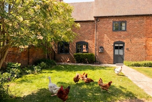 A brick building with a lawn and chickens.