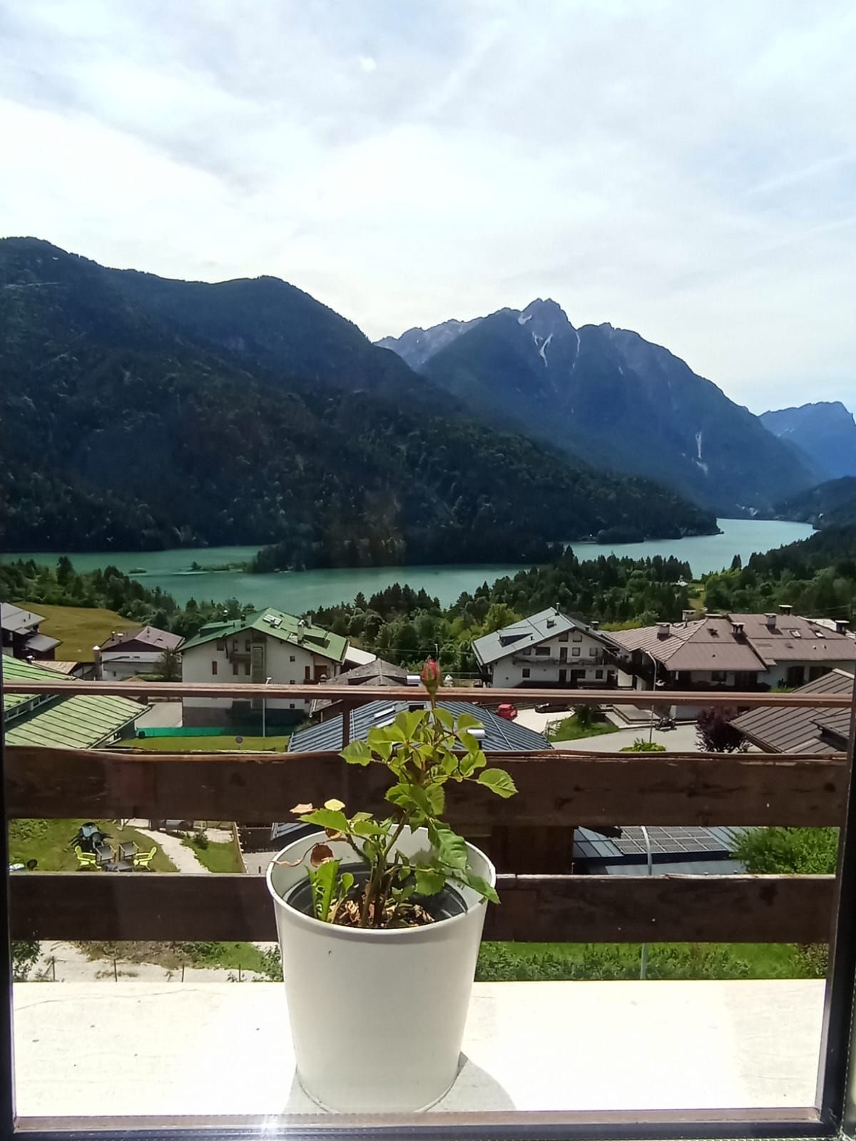 Una planta en maceta en un balcón con vistas a un paisaje montañoso, un lago y edificios residenciales.