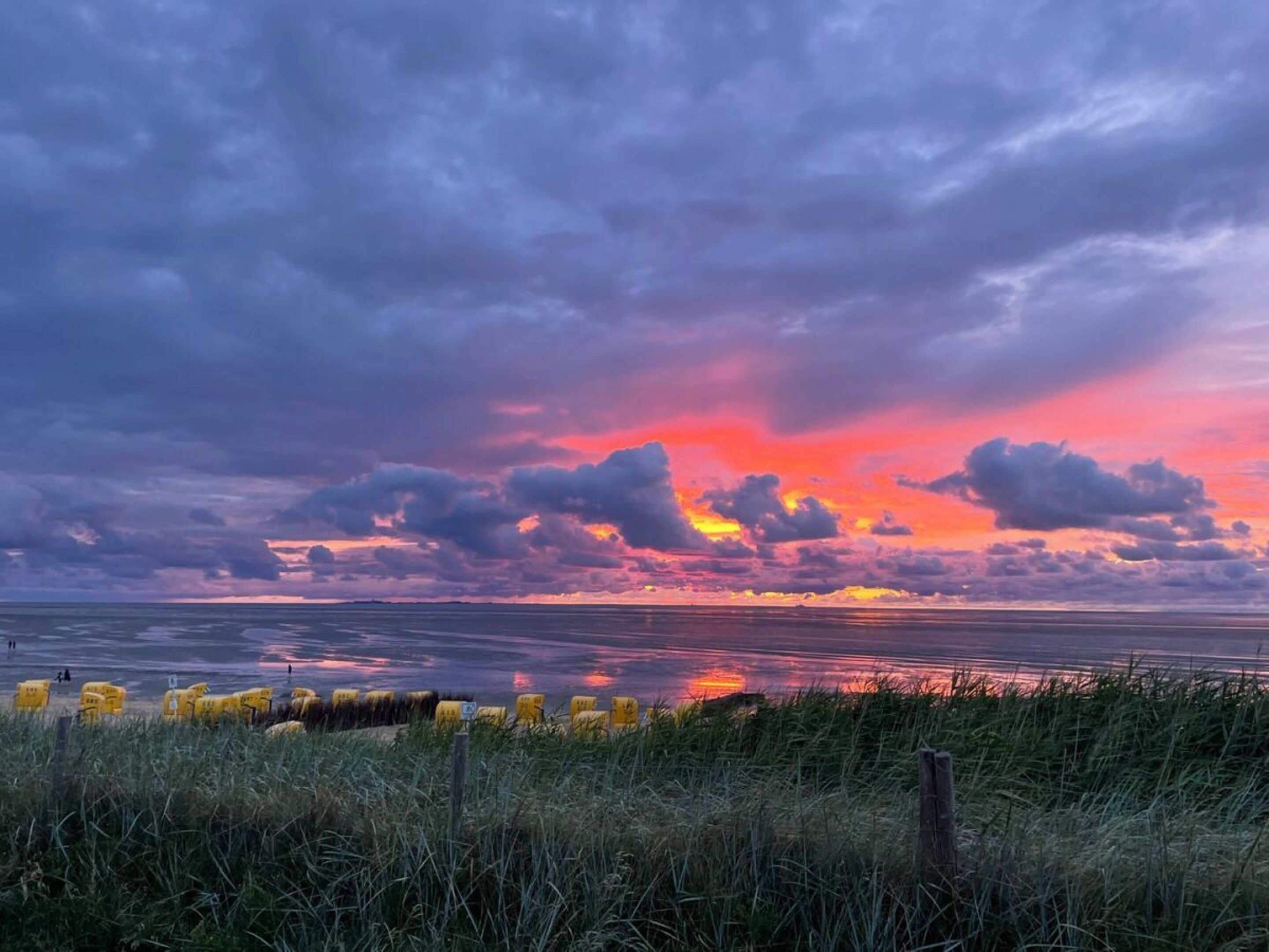 A coastal landscape with a sunset, grassy foreground, and a calm sea.