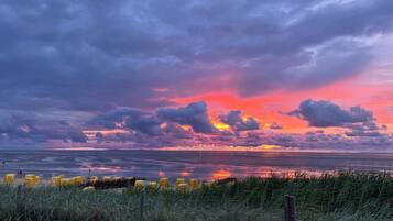 A coastal landscape with a sunset, grassy foreground, and a calm sea.