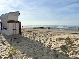 Una playa con una silla de mimbre y una planta pequeña.