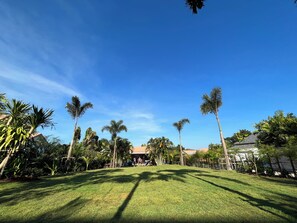 Gramado bem cuidado com palmeiras altas e céu azul límpido.