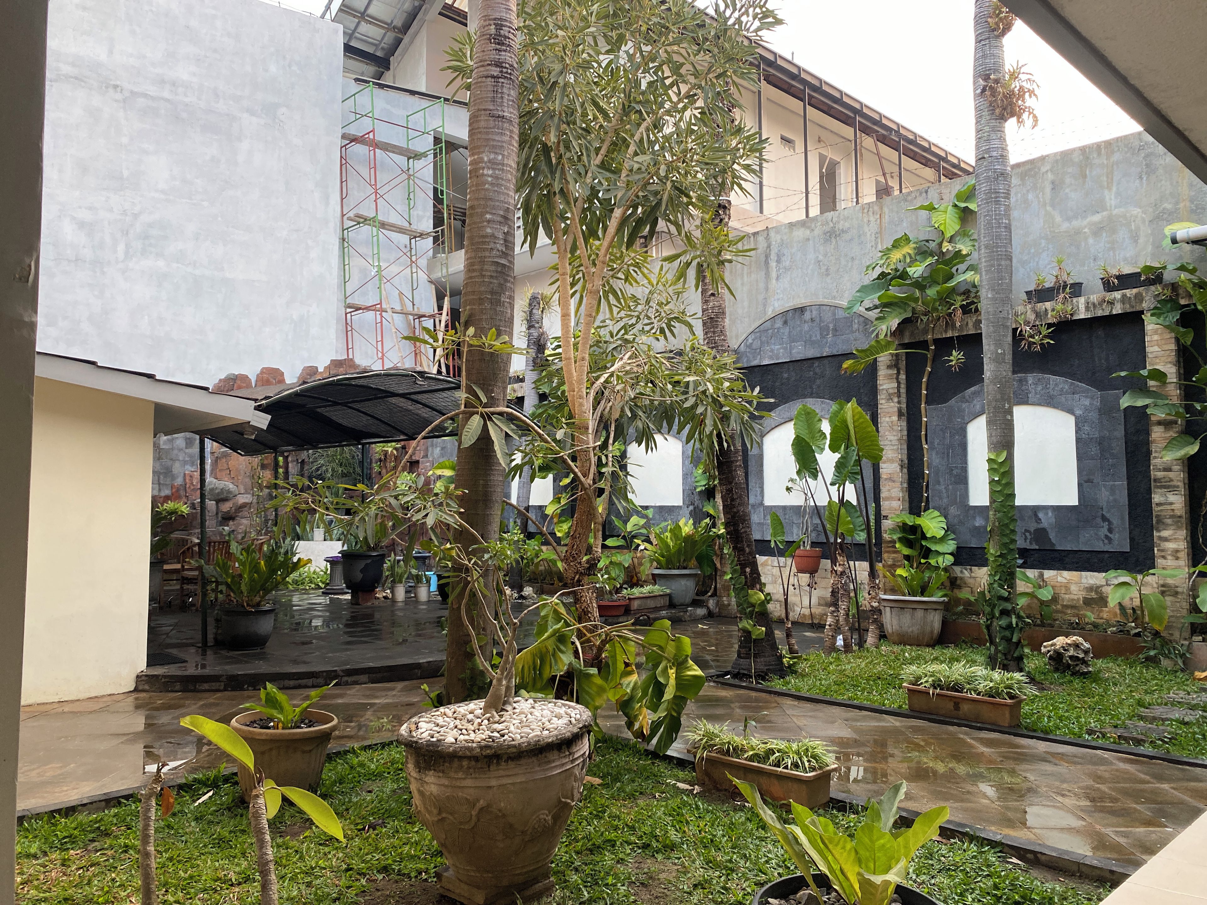 A courtyard with potted plants, a palm tree, and a covered seating area.