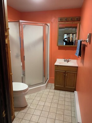 A bathroom with a toilet, a shower enclosure, and a sink. - Cozy 2-bedroom converted grain bin, check listing for bedroom details (Covington)