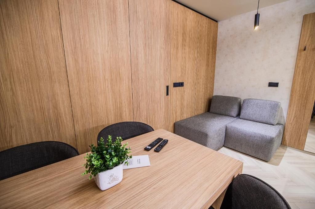 Quarto moderno com divisória de madeira, sofá cinza, mesa de madeira com uma planta e um controle remoto.