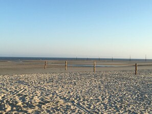 Ein Strand mit blauem Himmel, sandigem Untergrund und Holzpfählen.