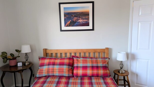Une chambre à coucher avec une tête de lit en bois, une couvre-lit à carreaux, deux tables de chevet avec des lampes, une plante en pot et un tableau encadré au mur.