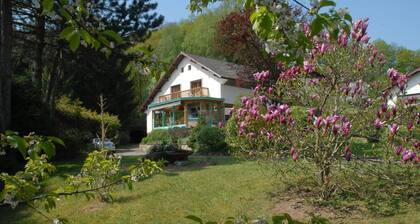 Holiday Residence in North Vosges