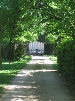 Un sendero pavimentado bordeado por árboles y arbustos, que conduce a un acceso con portón.