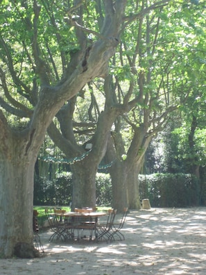Un espacio al aire libre con sombra, una mesa y sillas bajo árboles grandes.