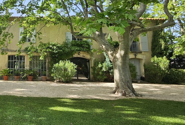 A building with a large tree in the foreground, a gravel driveway, and a well-maintained lawn.