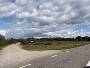 A rural road with a gravel path leading to a grassy area and a red building in the distance.