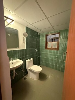 Kylpyhuone, jossa on pesuallas, wc ja ikkuna.