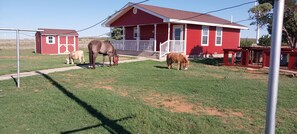 A red barn with a white porch, a smaller red shed, and two horses grazing on the grass.