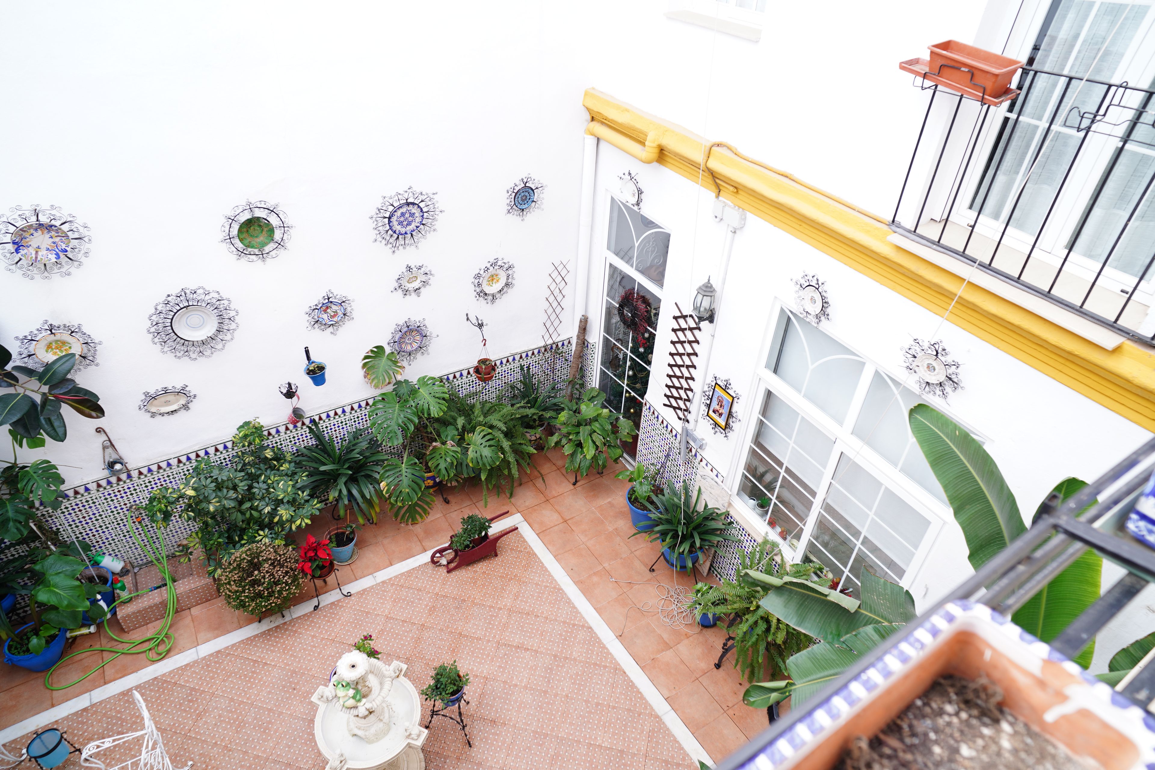 A rooftop garden with potted plants, a decorative watering can, and a small statue.