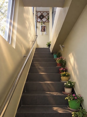 A staircase with handrails, potted plants, and a framed picture on the wall.