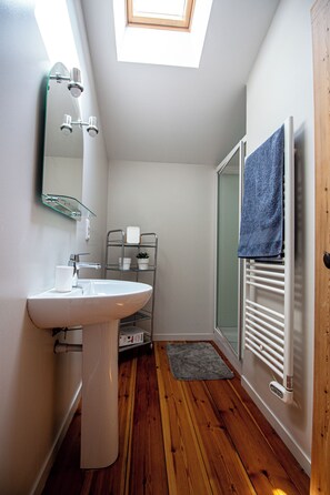 A modern bathroom with a skylight, a white sink, a glass shower enclosure, and a towel rack. - Le Gué Renard: A Balcony Overlooking the Charente. Pets allowed. (Jarnac)