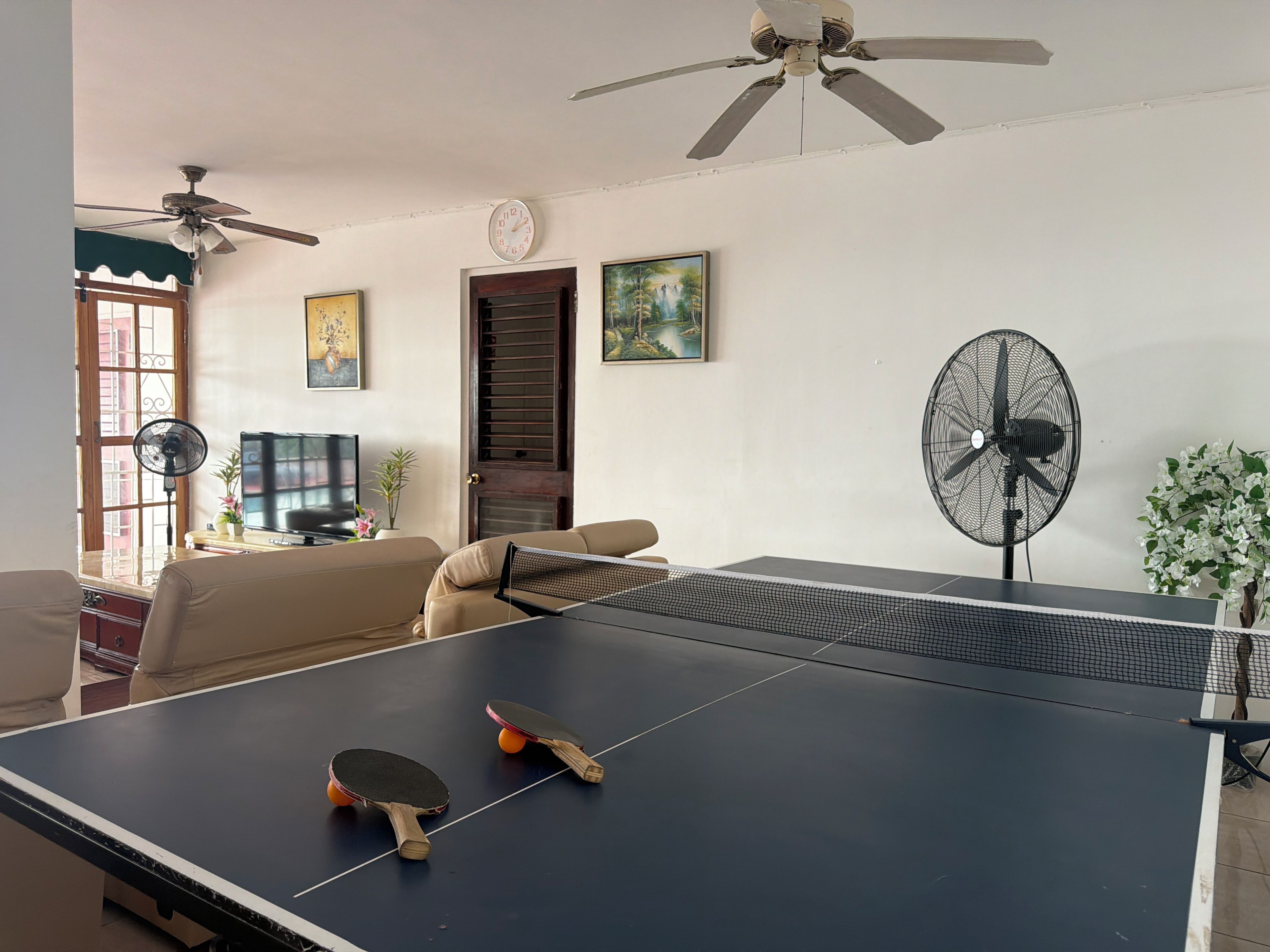 Quarto com mesa de ping pong, duas raquetes, televisão, ventilador e ventoinha no teto.