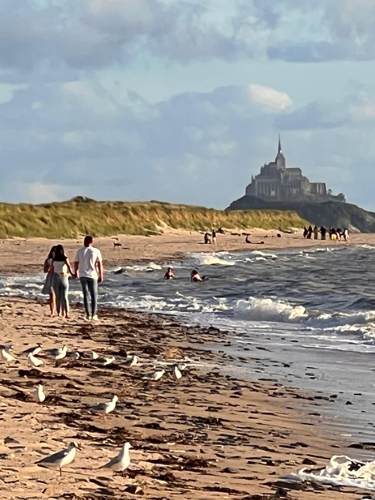 Uma praia com pessoas caminhando e aves na areia, e um castelo ao fundo.