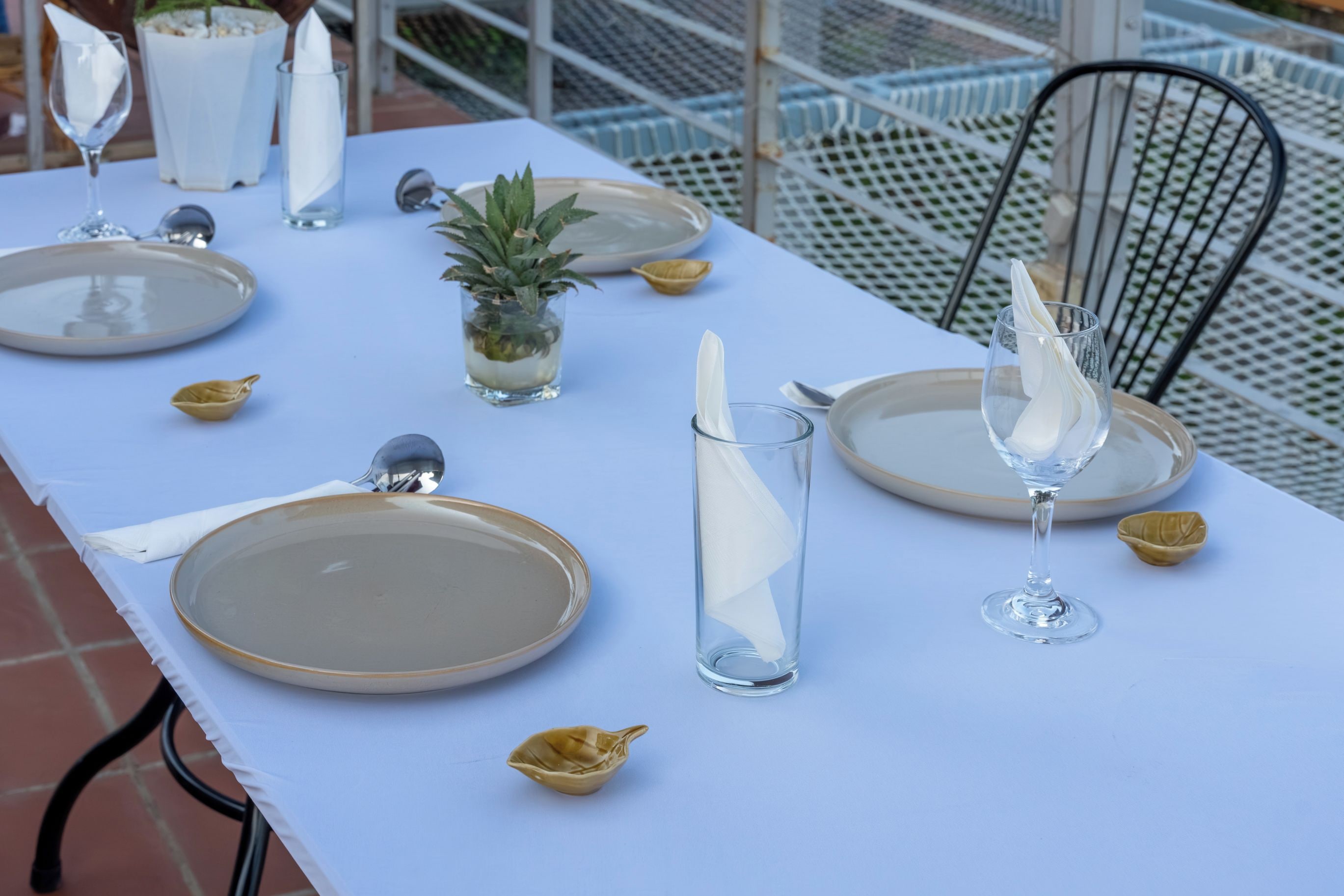 A table set for dining with plates, glasses, and a small plant.