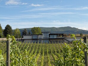 Ein modernes, zweistöckiges Gebäude mit großen Fenstern und einem Weinberg im Vordergrund.