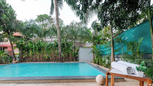 Piscina com deck de madeira, cercada por plantas tropicais e um dossel verde.