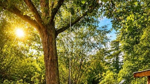 Una mesa de ping pong al aire libre en un jardín con un árbol y un pequeño edificio al fondo.
