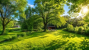 Un jardín exuberante y verde con un pabellón y un pequeño edificio, rodeado de árboles y césped.