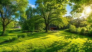 Een weelderige groene tuin met een prieel en een klein gebouw, omringd door bomen en gras.