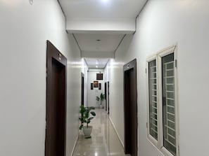 A hallway with doors on both sides, a potted plant, and a window on the right.