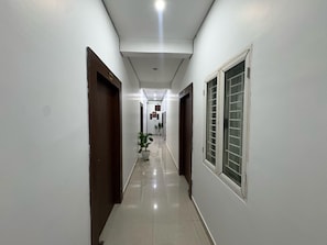 A corridor with doors on both sides, a potted plant in the center, and a ceiling light.