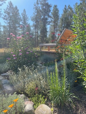 A garden with various plants and flowers, a wooden bench, and a building with a sloped roof in the background. - Cozy house on seven wooded acres near Hamilton (Hamilton)