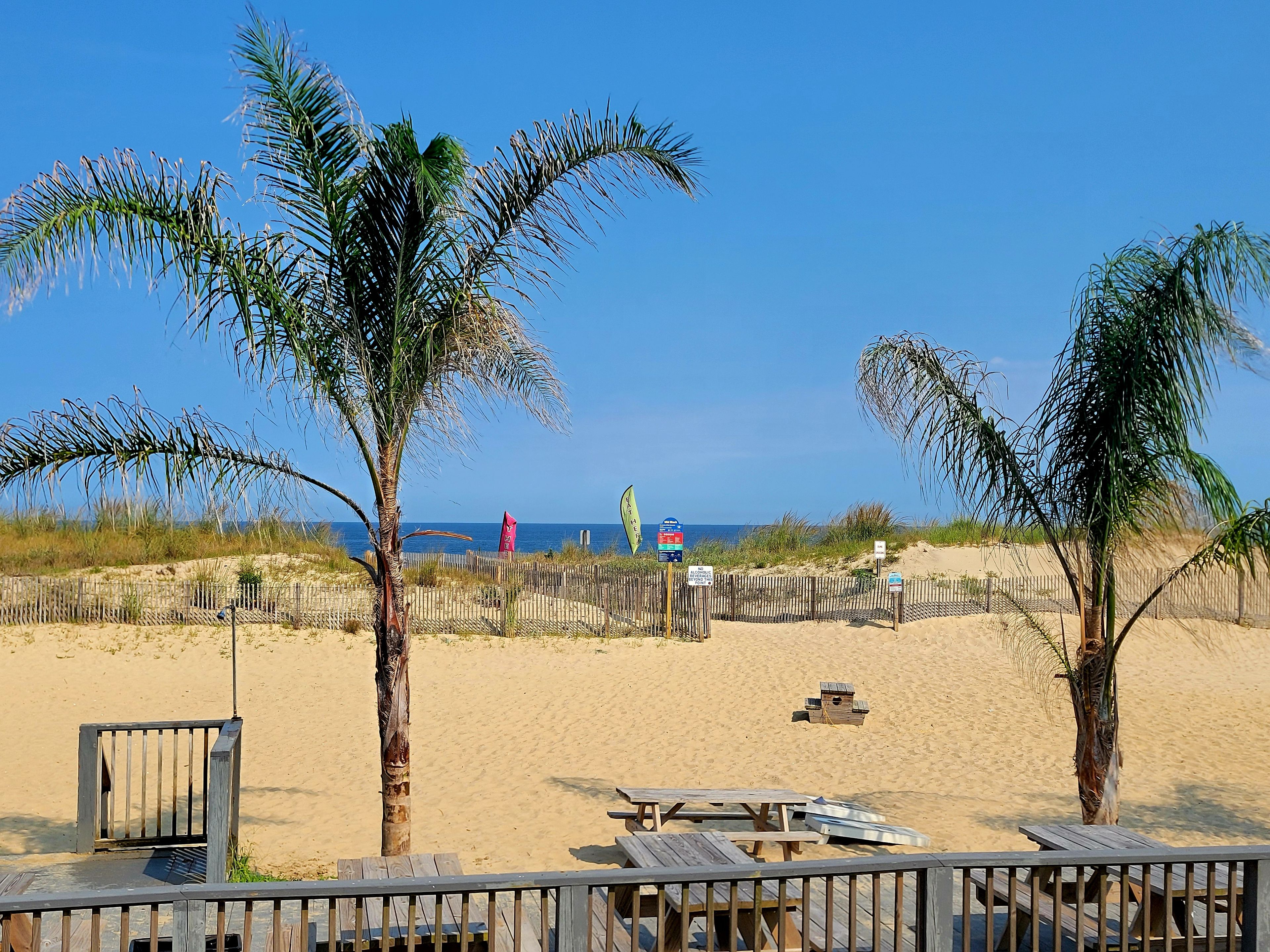 A beach with palm trees, a wooden fence, and a wooden deck with benches.
