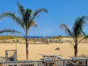 A beach with palm trees, a wooden fence, and a wooden deck with benches. - Charming townhome/condo walk to Yacht Club & Ocean Pines Marina (Berlin)