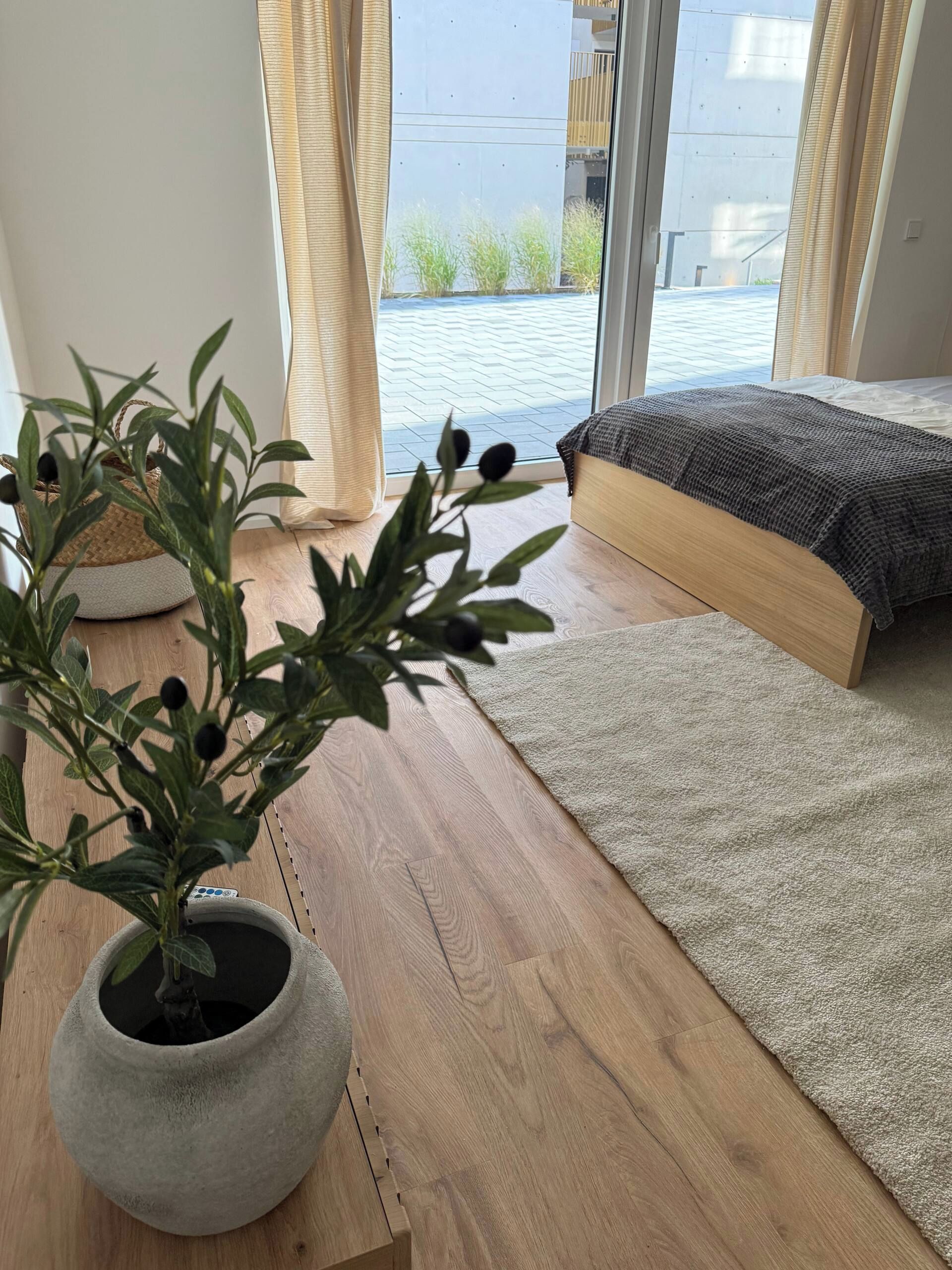 Une pièce avec une grande fenêtre, un plancher en bois, un tapis gris, un lit recouvert d’une couverture grise et une plante en pot aux feuilles vertes et aux baies noires.