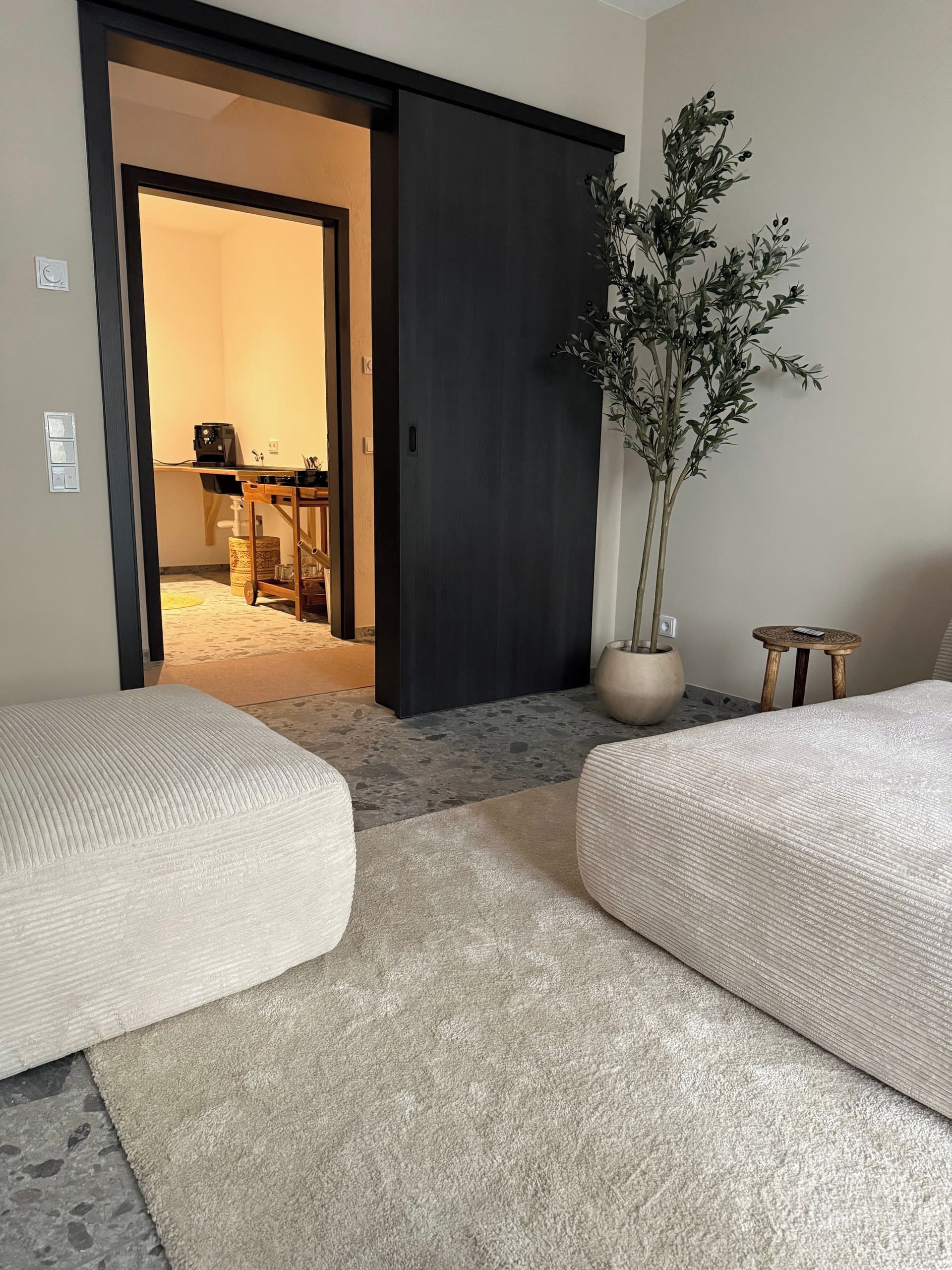A room with two sofas, a potted plant, and a sliding door leading to another room.