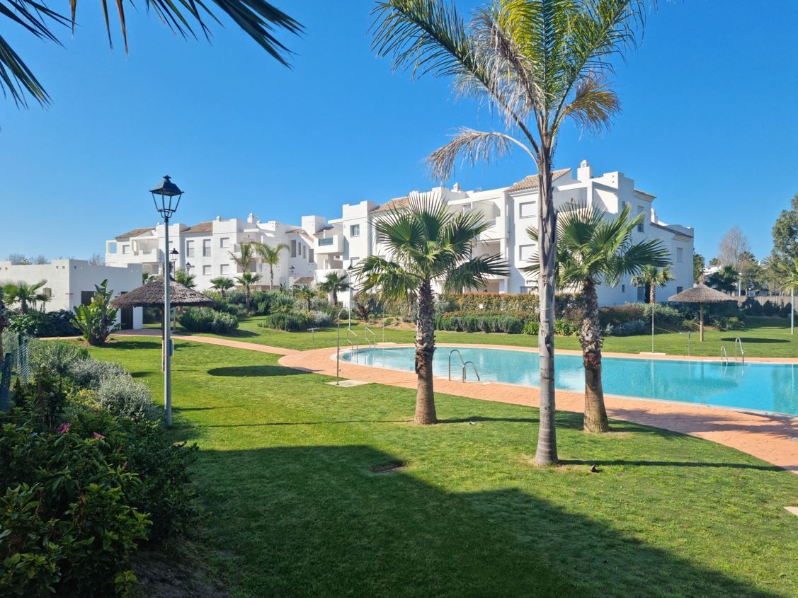 A swimming pool with a clear blue water, surrounded by a well-maintained lawn and palm trees, with a building in the background.