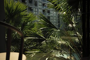 Ein Blick auf ein Gebäude mit zahlreichen Fenstern und einer Palme im Vordergrund.
