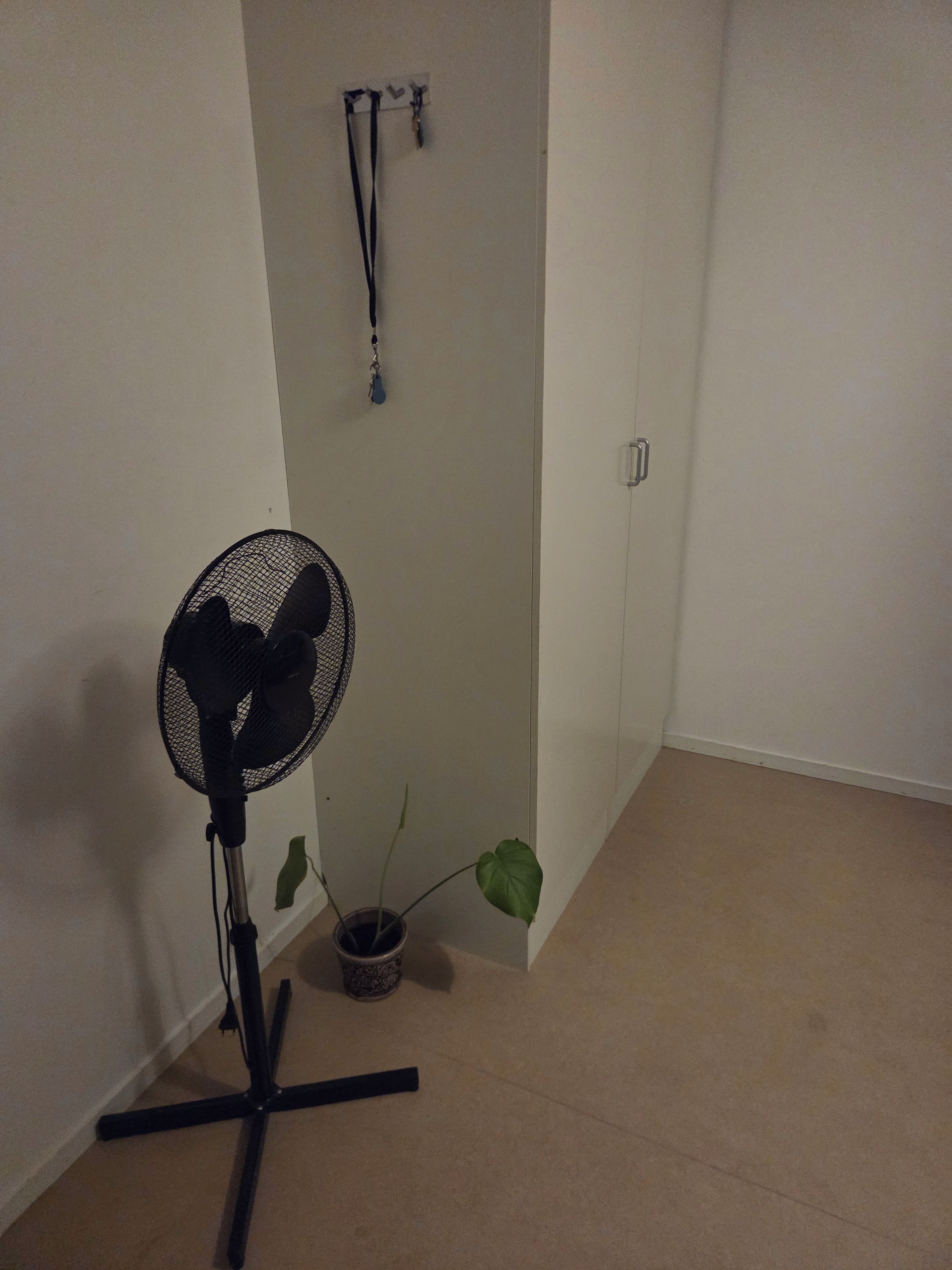 Ett rum med en bordsfläkt, en krukväxt och en dörr.