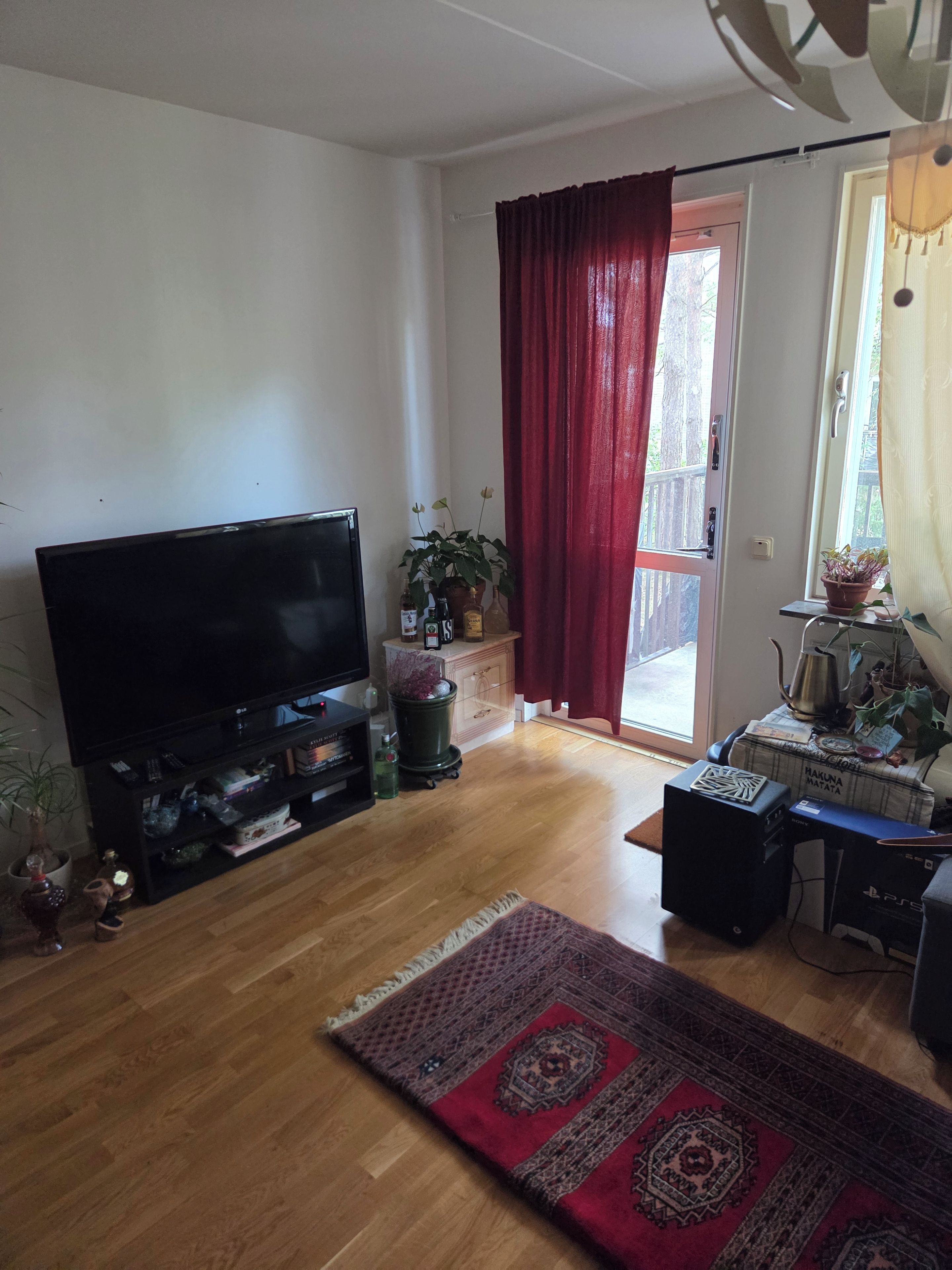 Olohuone, jossa on litteänäyttöinen televisio, puulattia, punakuvioinen matto, ruukkukasvi ja liukuovet, jotka ovat lasia.