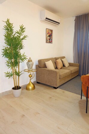 Olohuoneessa on sohva, ruukussa oleva viherkasvi, pieni pöytä maljakolla ja seinälle asennettu ilmastointilaite.