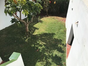A grassy area with a tree and a white wall. - Cosy private two bed apartment with exclusive use of swimming pool. (Torrox)