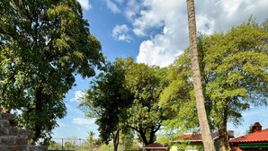 A swimming pool with a tiled edge, surrounded by trees and a brick wall. - Country house with sand court and heated pool. (Americana)